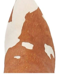 Dingo Women's Mane Tamer Fashion Booties - Pointed Toe -Western Shoe Store 2000344410 280 P6